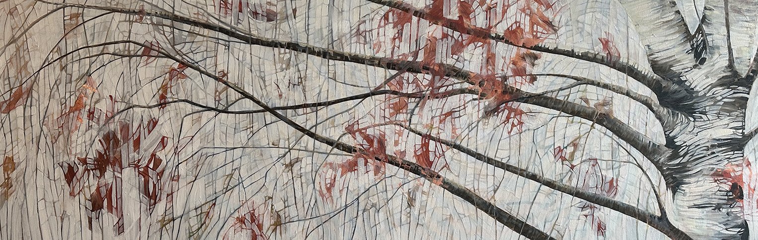 Weeping Birch