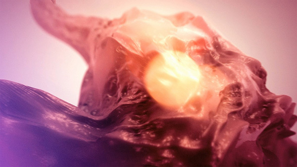 offf2011-yearbook-senturk-3