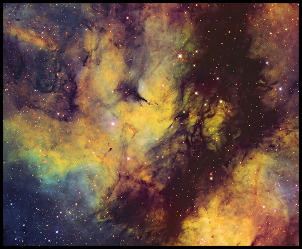  IC 1318 