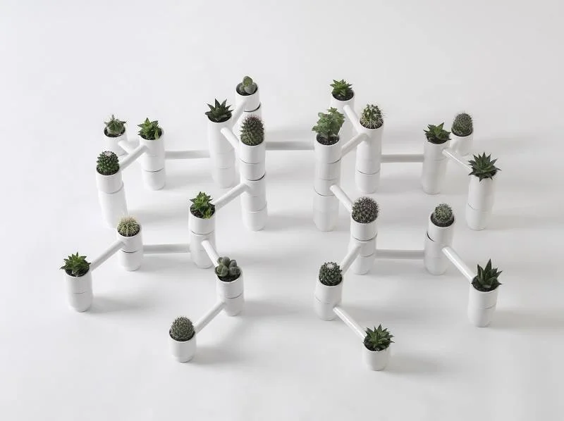 naturalist-izba-2015