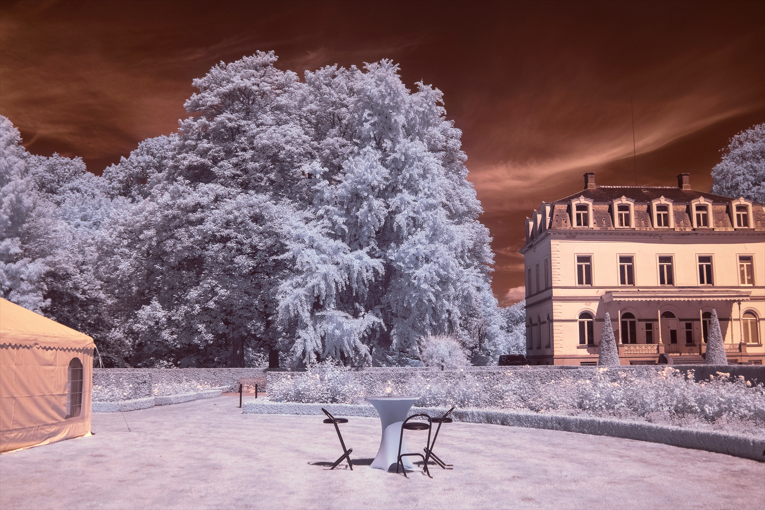 infrared-gmunk3.jpg