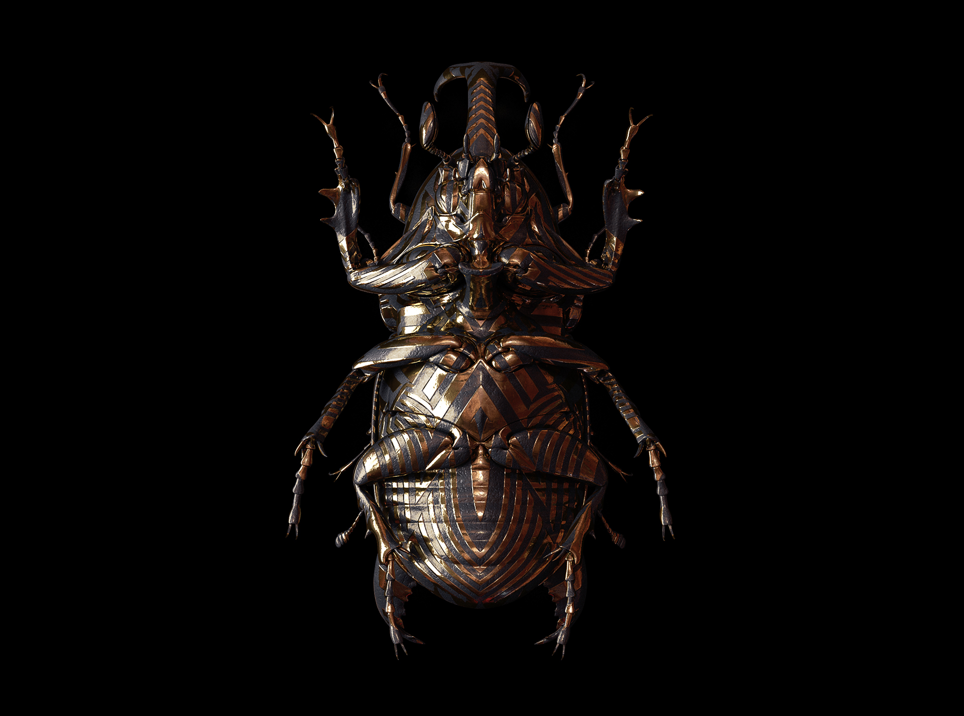 engraved-entomology9.jpg