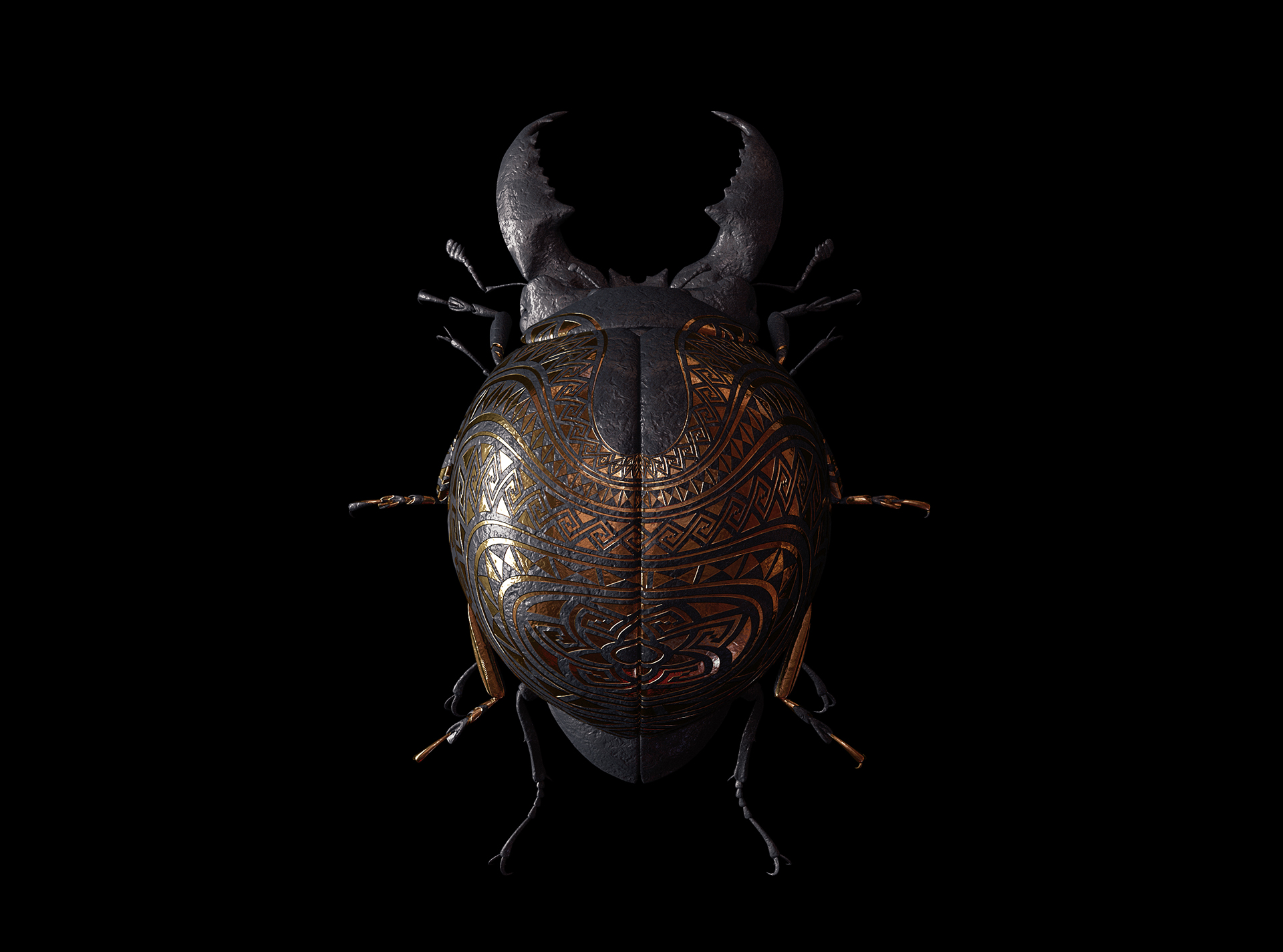 engraved-entomology8.jpg