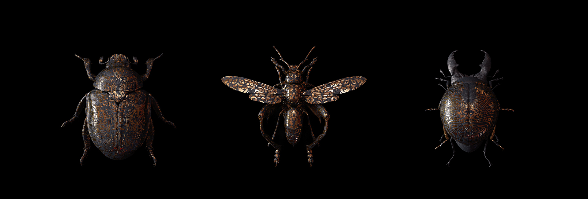 engraved-entomology6.jpg