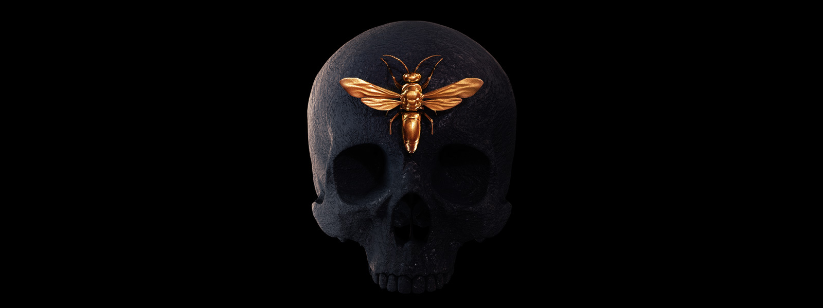 engraved-entomology3.jpg