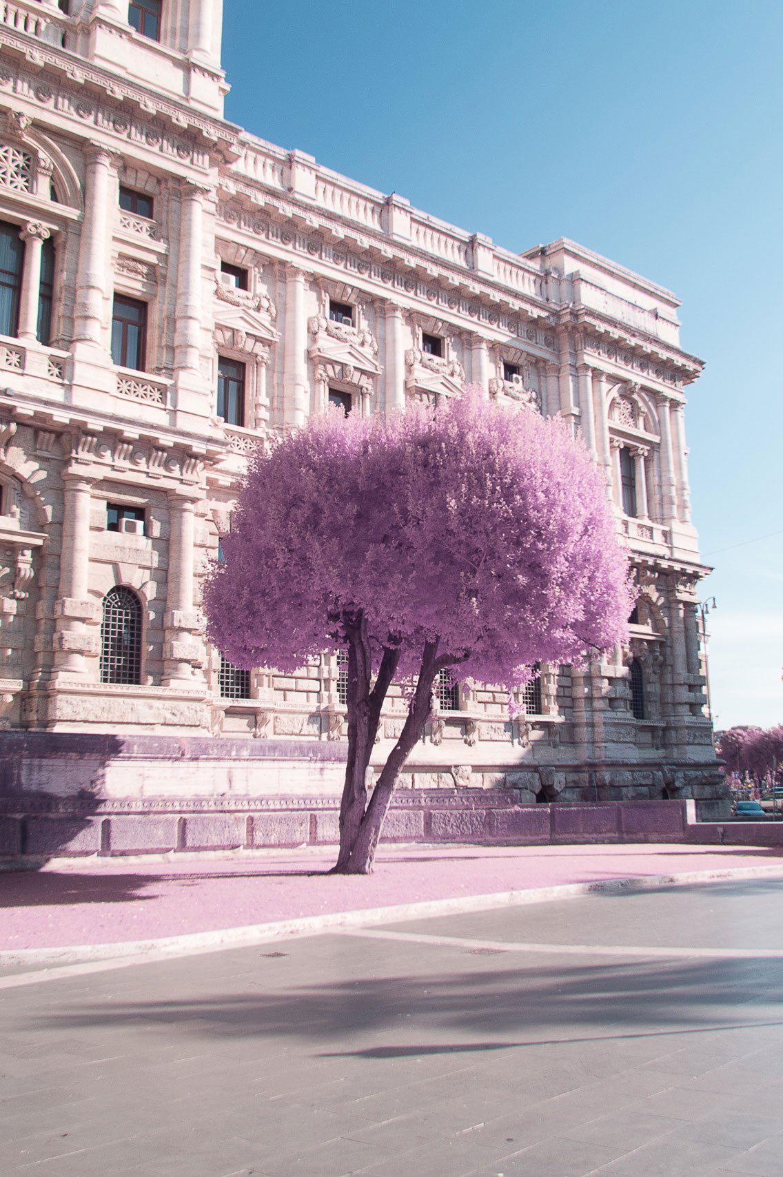 racmolnar-rome-infrared2.jpg