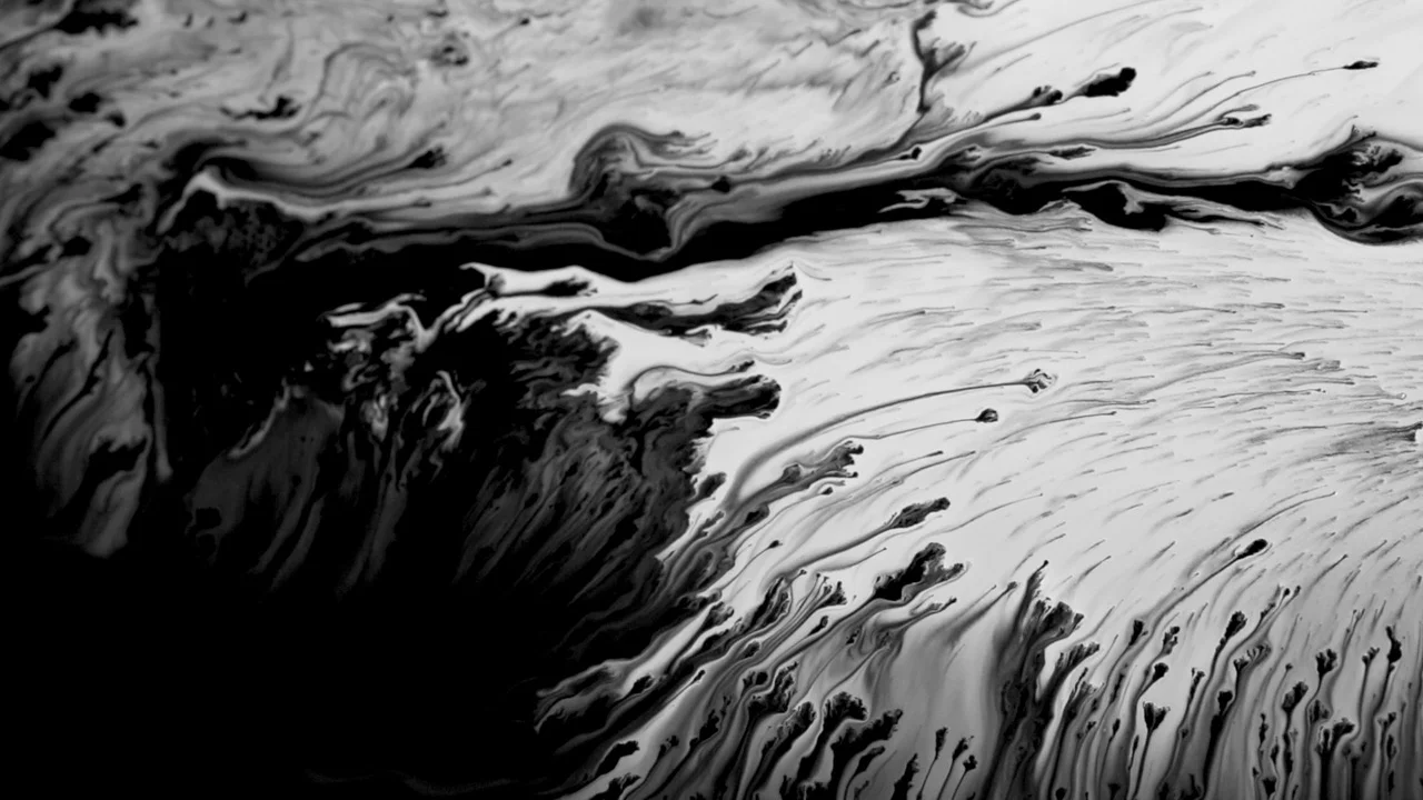 Macrocosm by Susi Sie