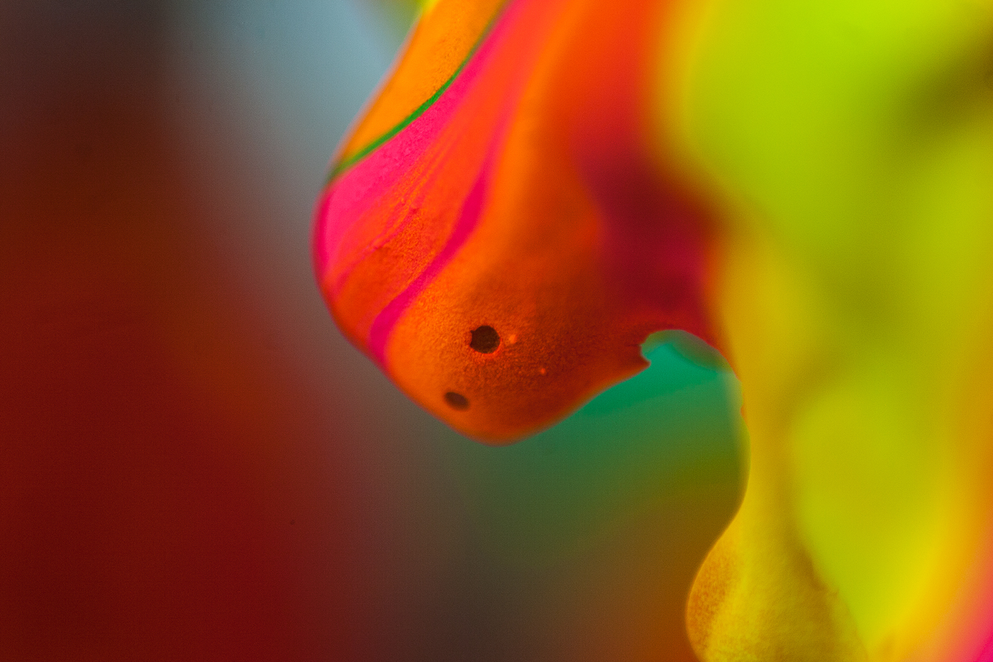 colour-alberto-seveso8.jpg