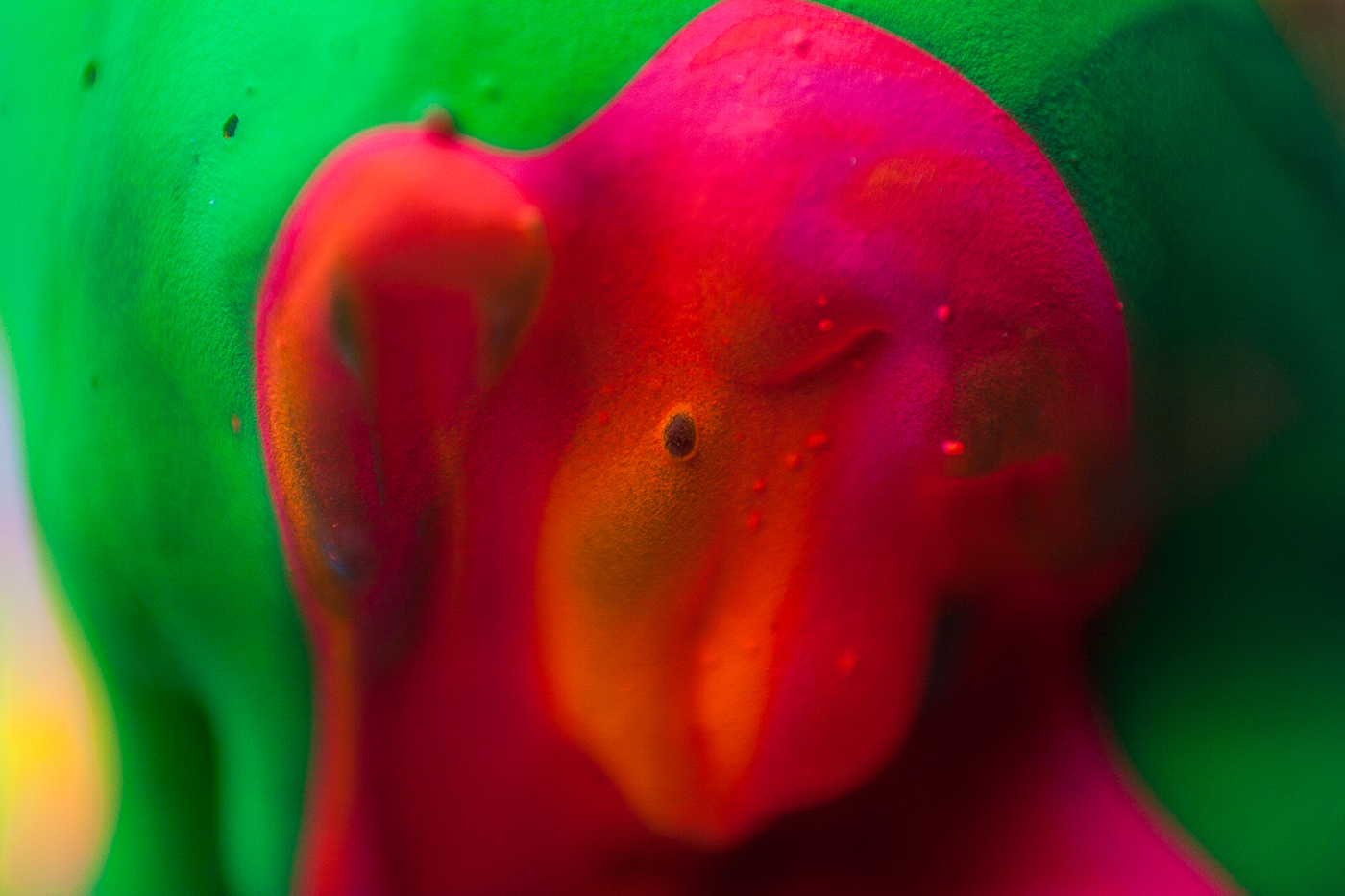 colour-alberto-seveso9.jpg