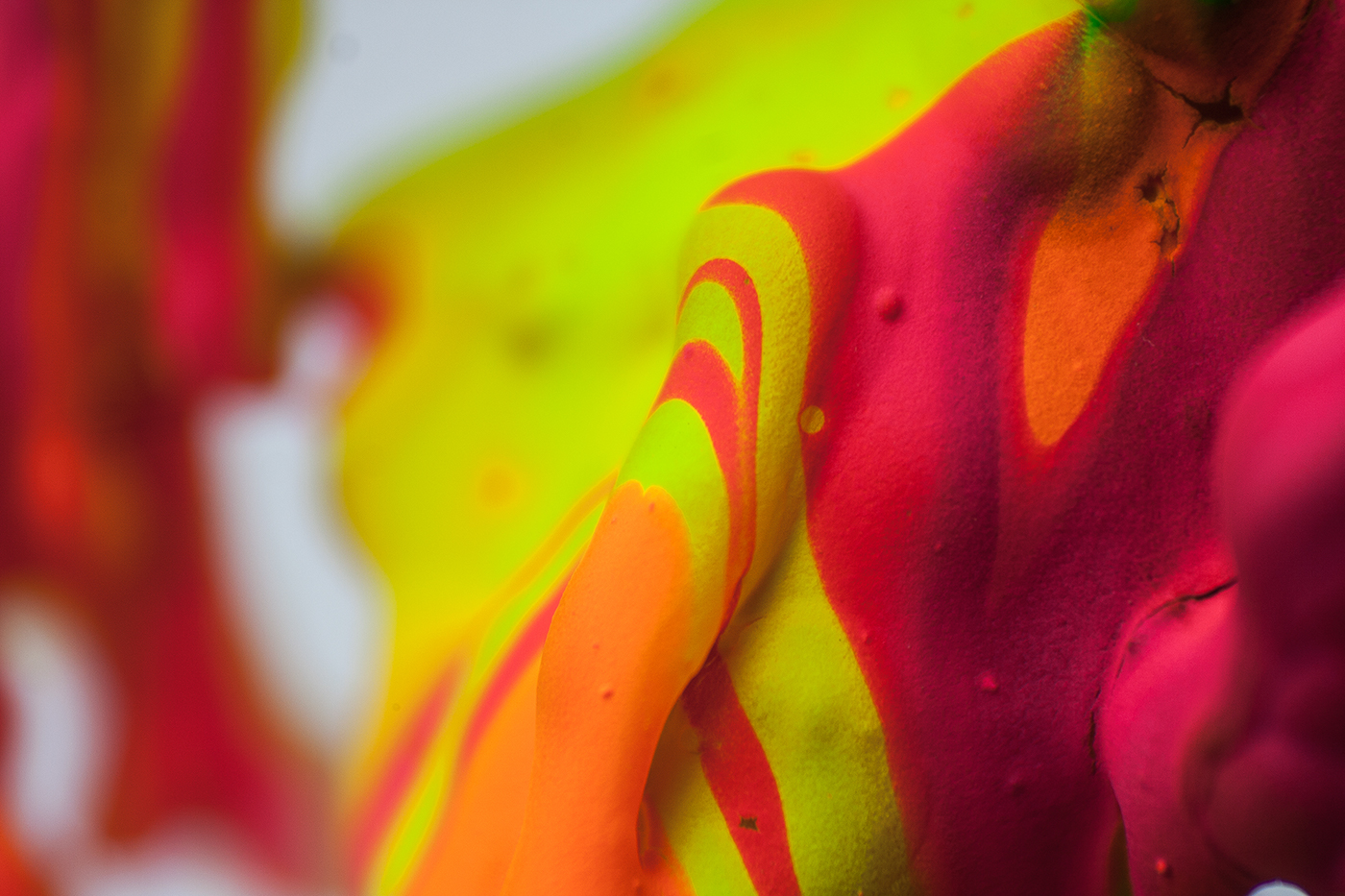 colour-alberto-seveso6.jpg