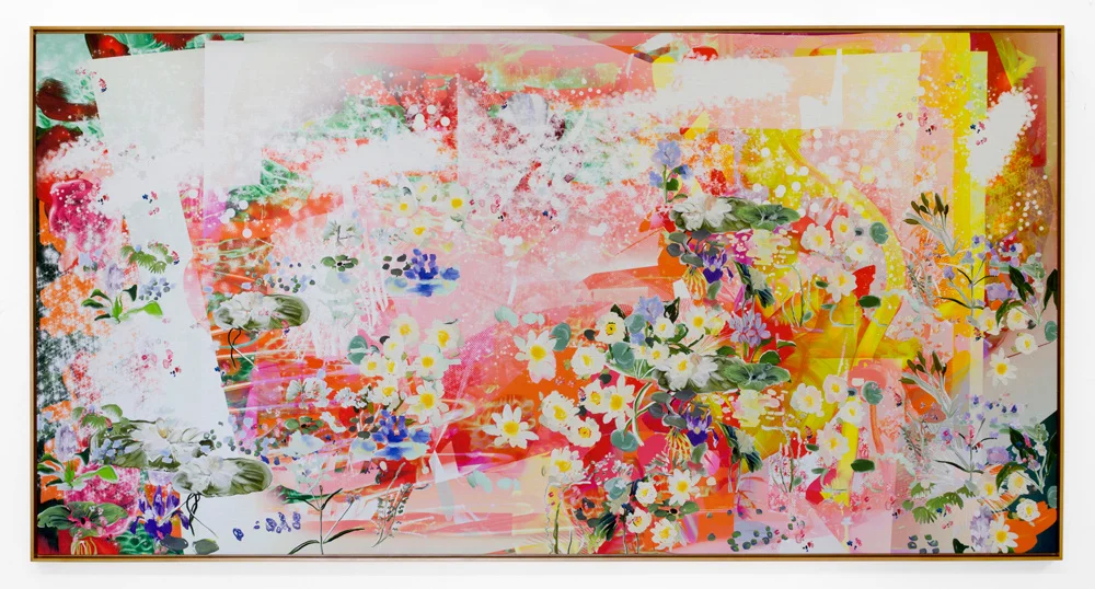 Digital Art of Petra Cortright