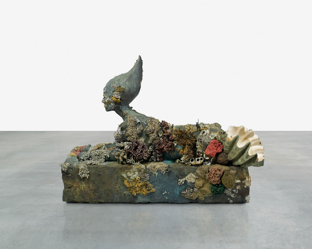 hirst-venice-wreck92.jpg