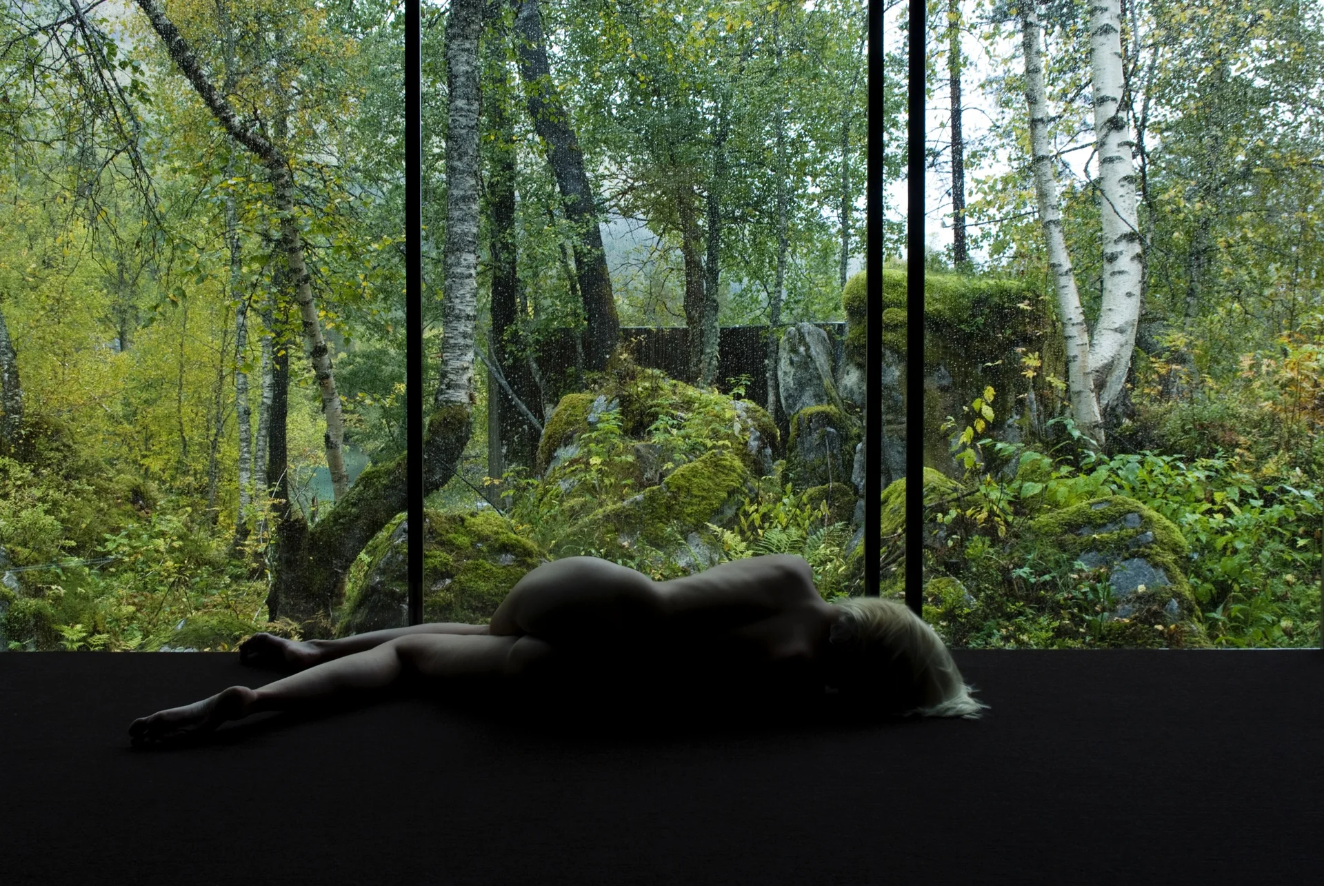 Juvet Hotel from Ex-Machina Movie