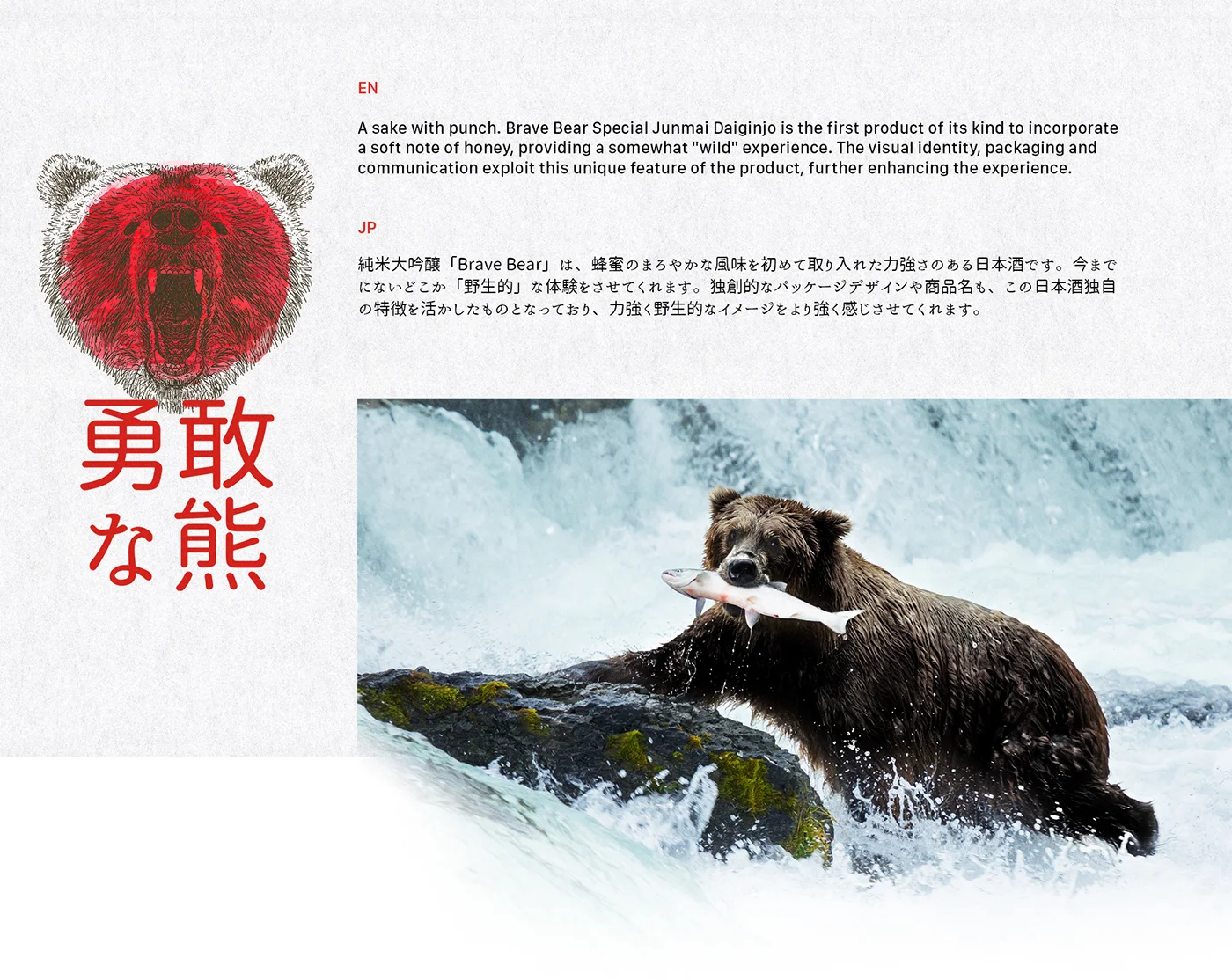 brave-bear3.jpg