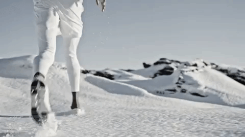 traum-2.gif