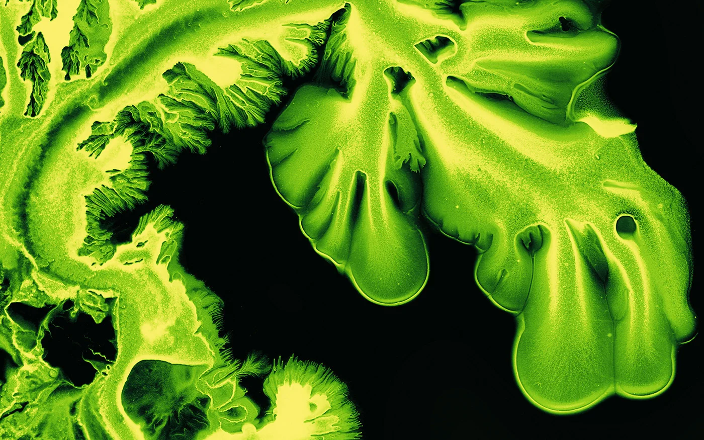 Macro by Ruslan Khasanov