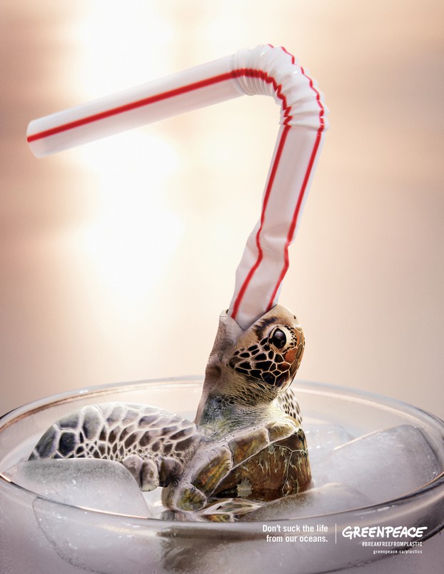 Greenpeace_Straw-turtle-2018.jpg