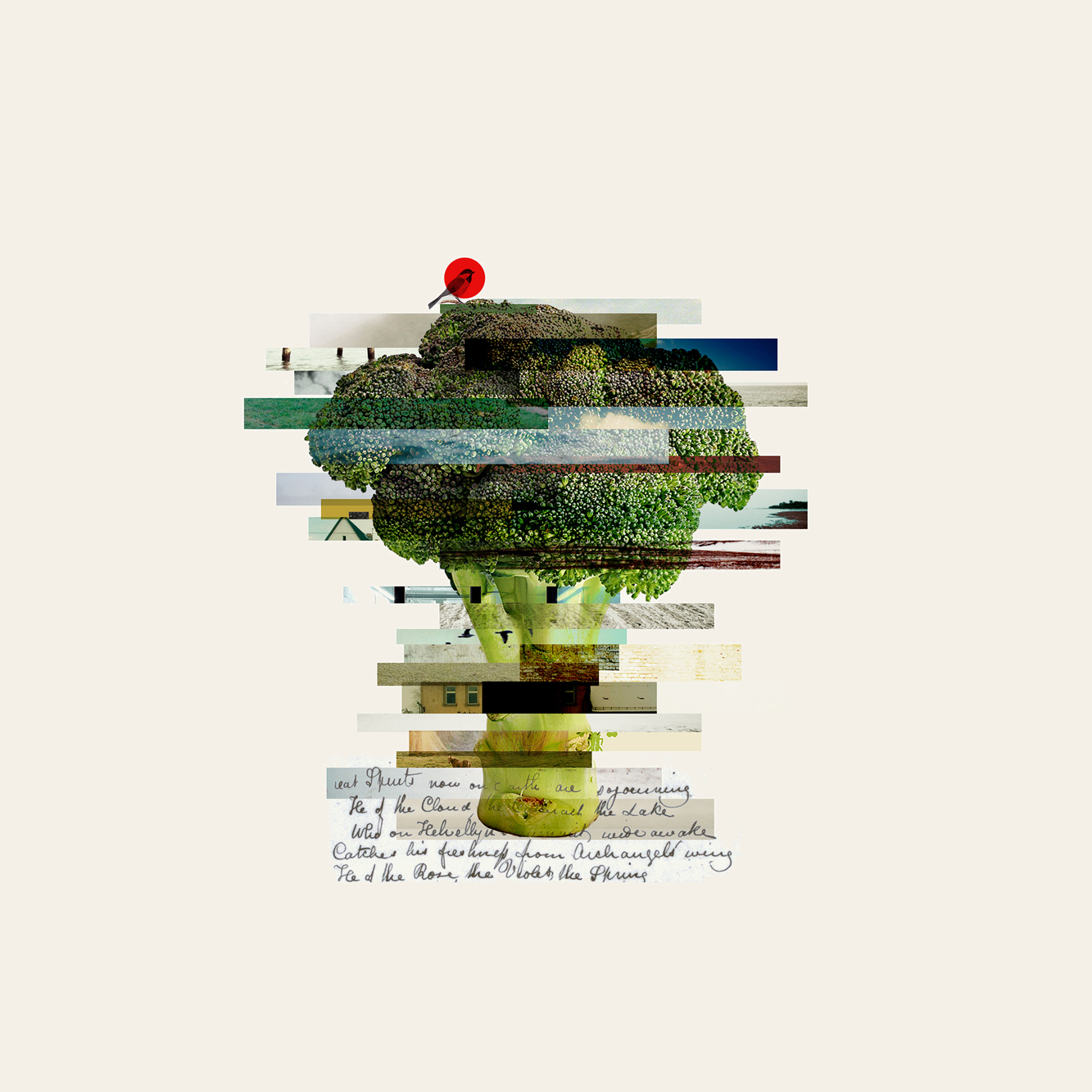 Broccoli 30x30.jpg