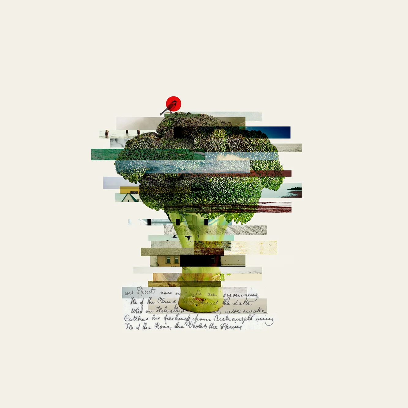 Broccoli 30x30.jpg