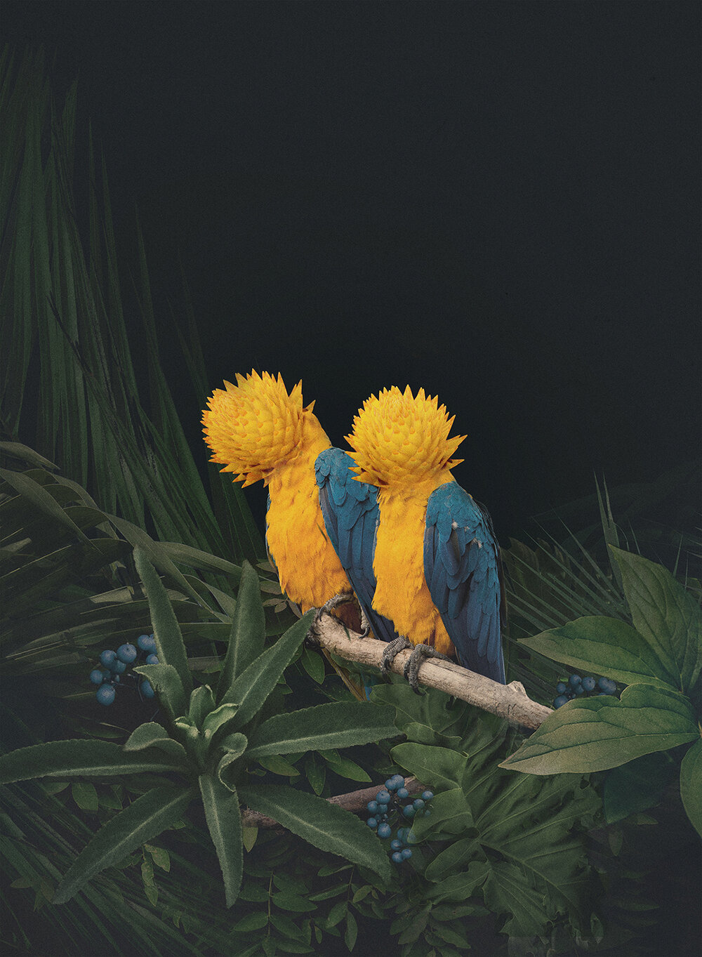 dawid-planeta.jpg