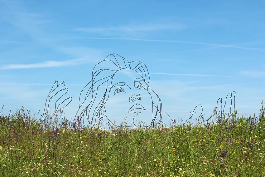 Gavin Worth's wire sculptures