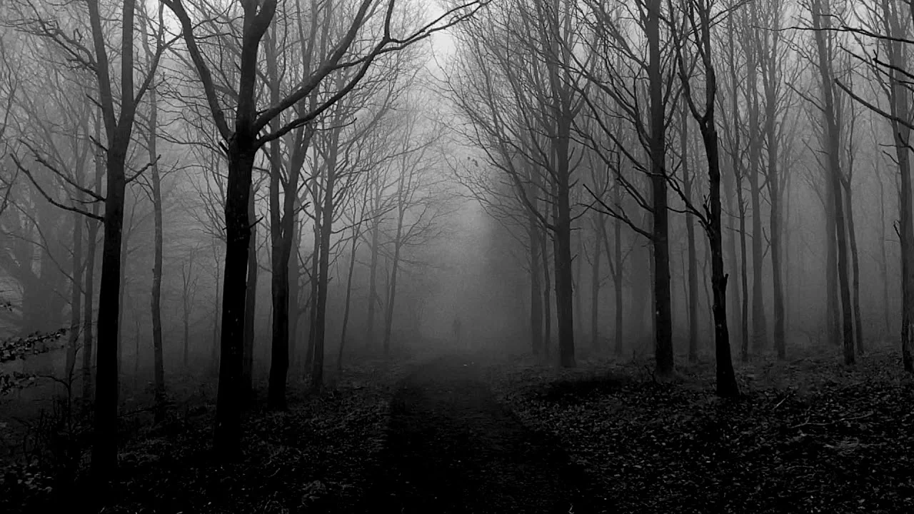 Trentemøller - Foggy Figures