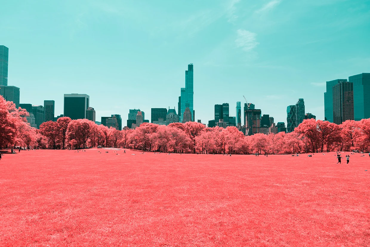 NYC’s Central Park Photographed in Infrared by Paolo Pettigiani
