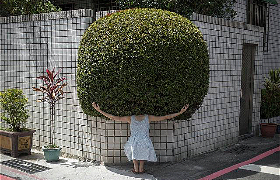 Yung Cheng Lin