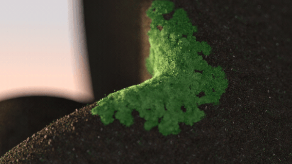 onesal2.gif