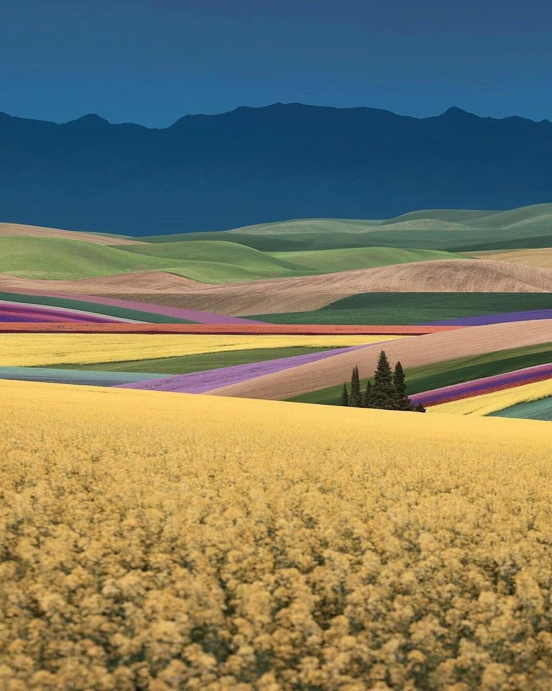 Magic Landscapes by  Benjamin Everett