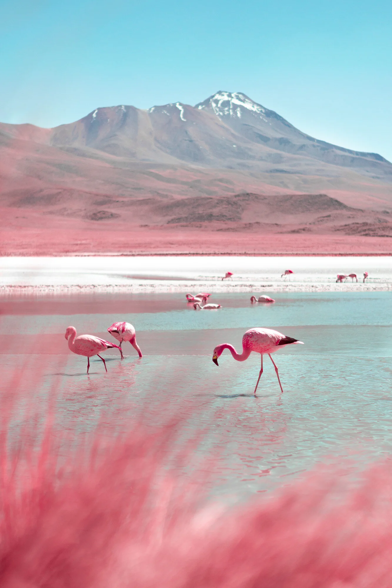 Surreal Infraland™ by Paolo Pettigiani