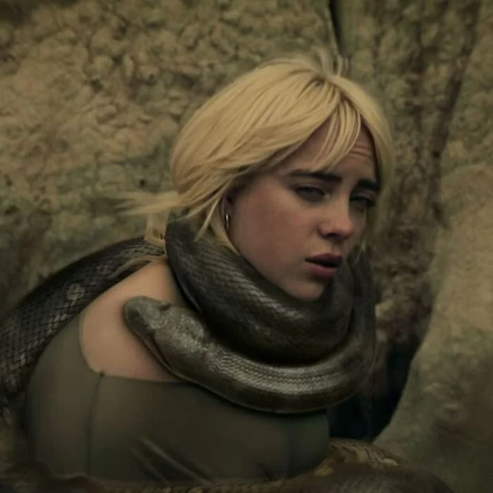 Billie Eilish - Your Power