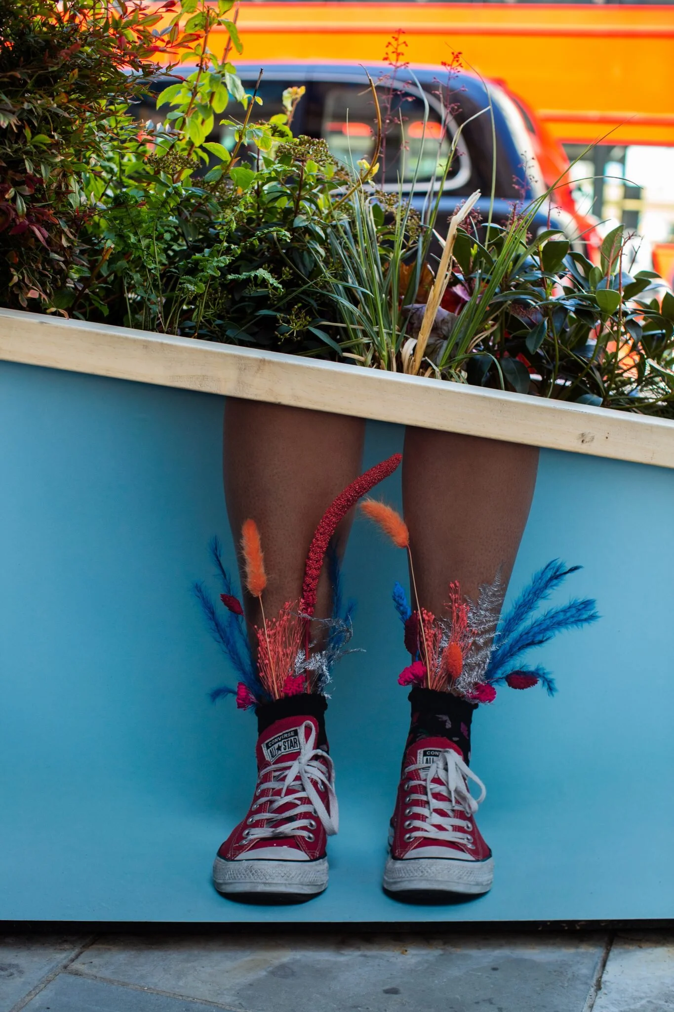 Plant Yourself by Claire Luxton