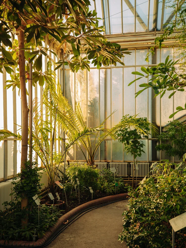 Julia Nimke Photography