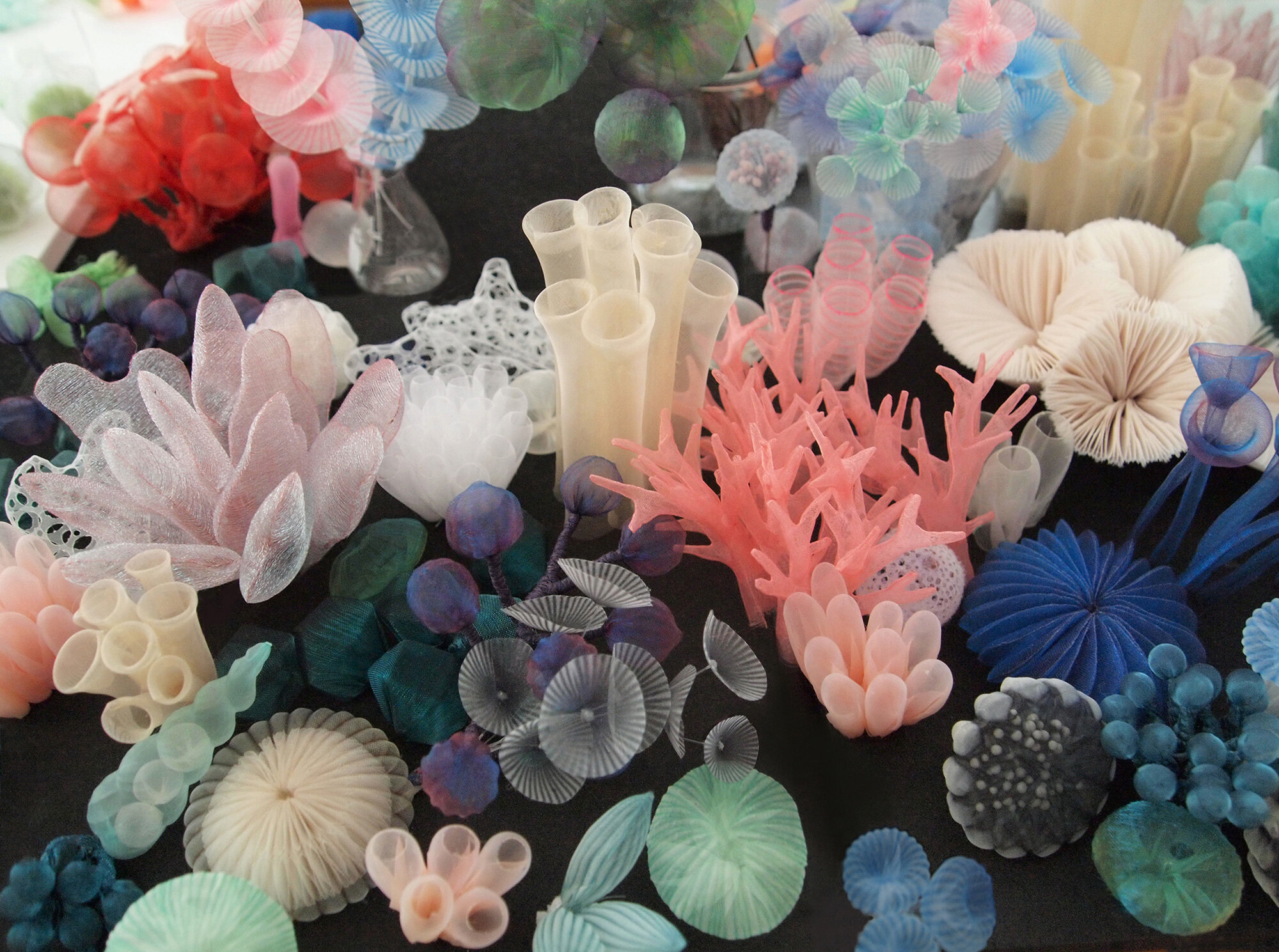 Sea Plants by Mariko Kusumoto 