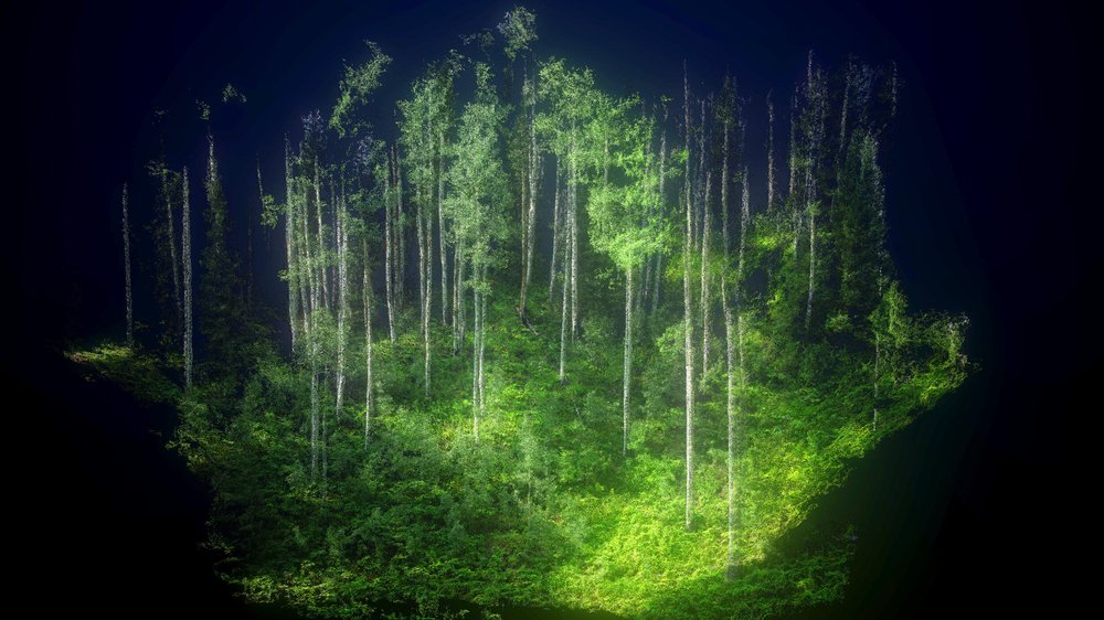 01_ANewNature-03.jpg