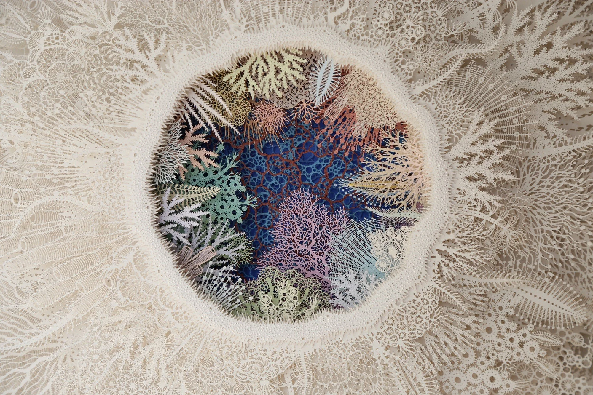 Paper-cut corals by Rogan Brown