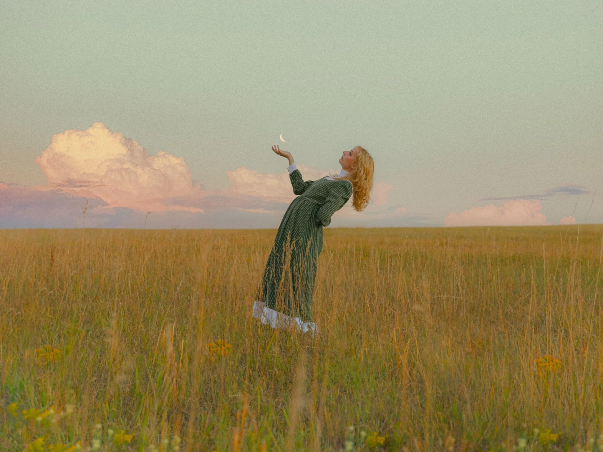 Vaughn Meadows Photography