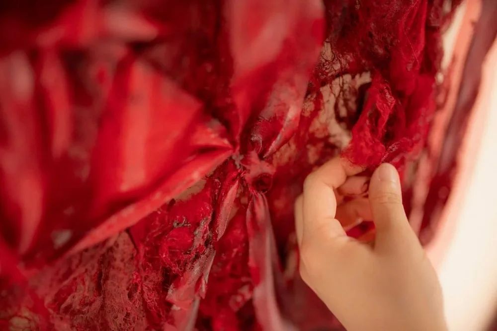 Amy Hui Li 1 extracted delight.jpeg