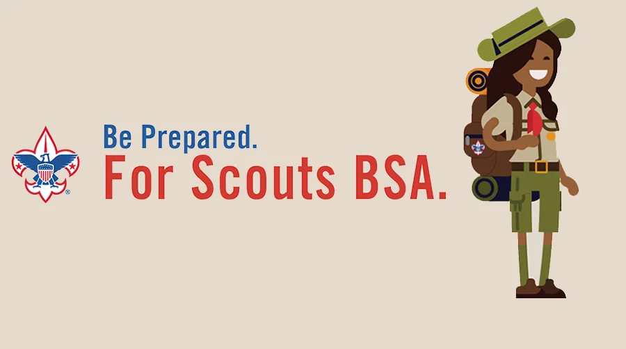 Scotus-BSA-infographic-header2.jpg