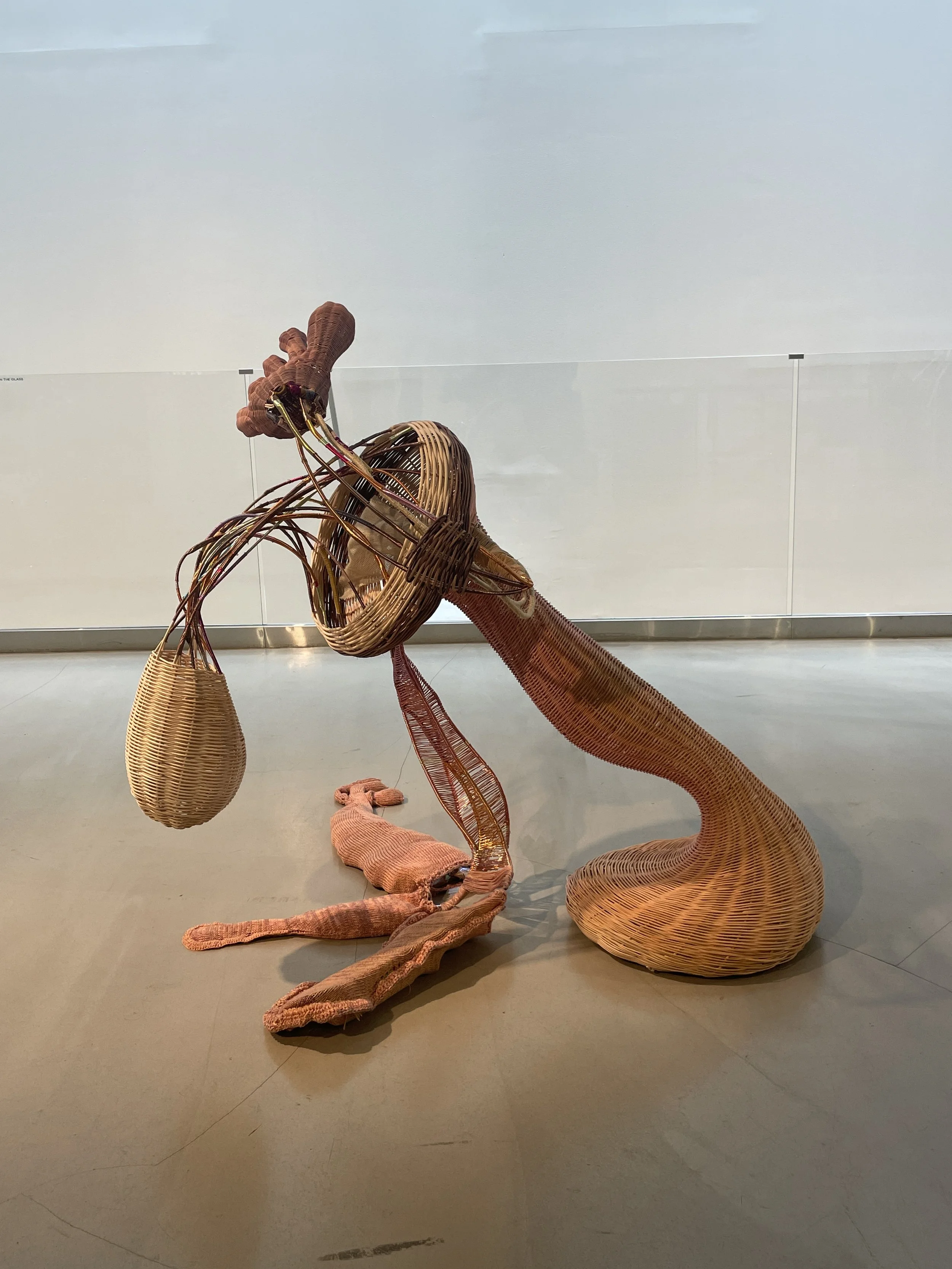 Fibration 202310.JPG