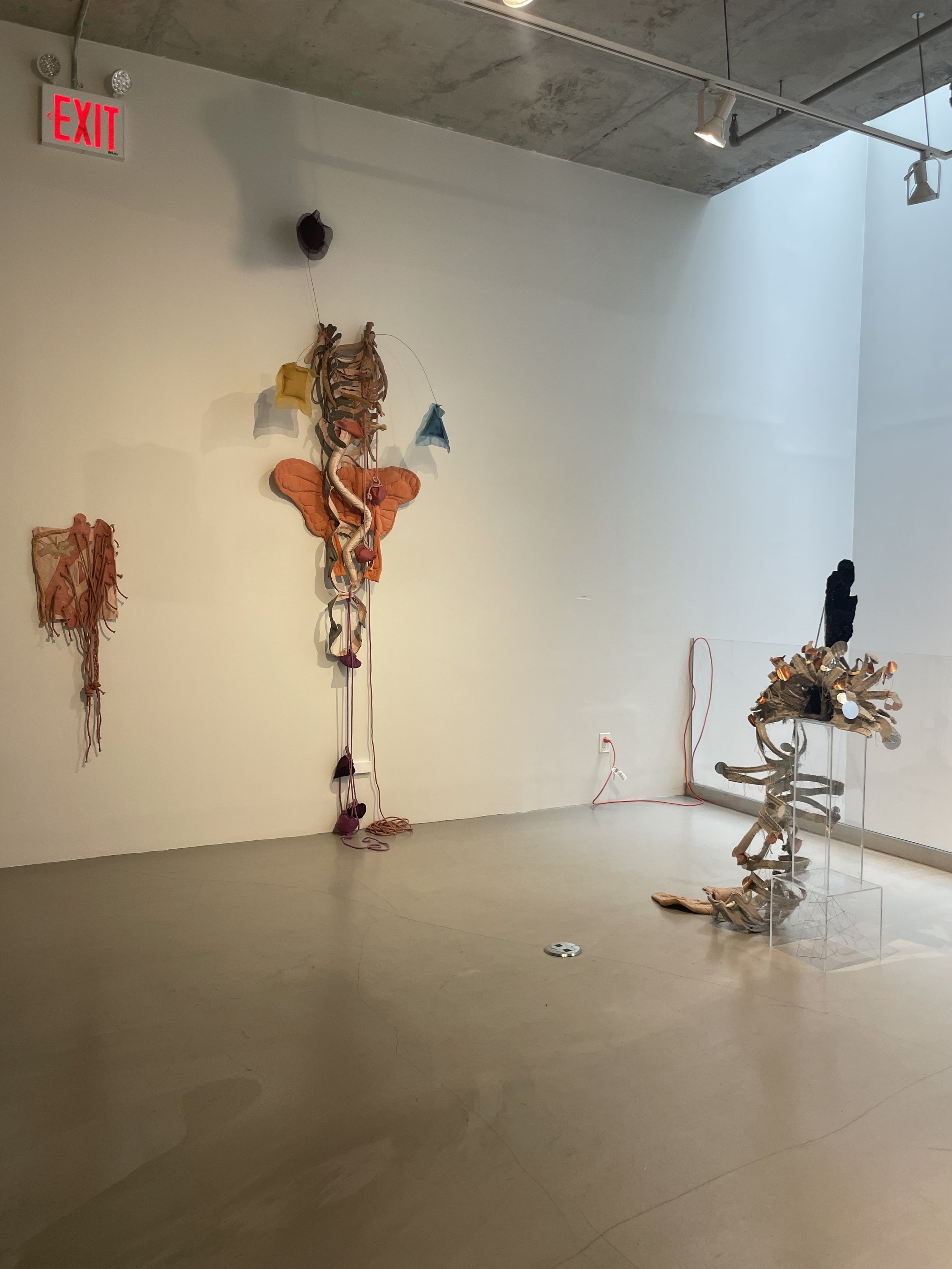 Fibration 202311.JPG