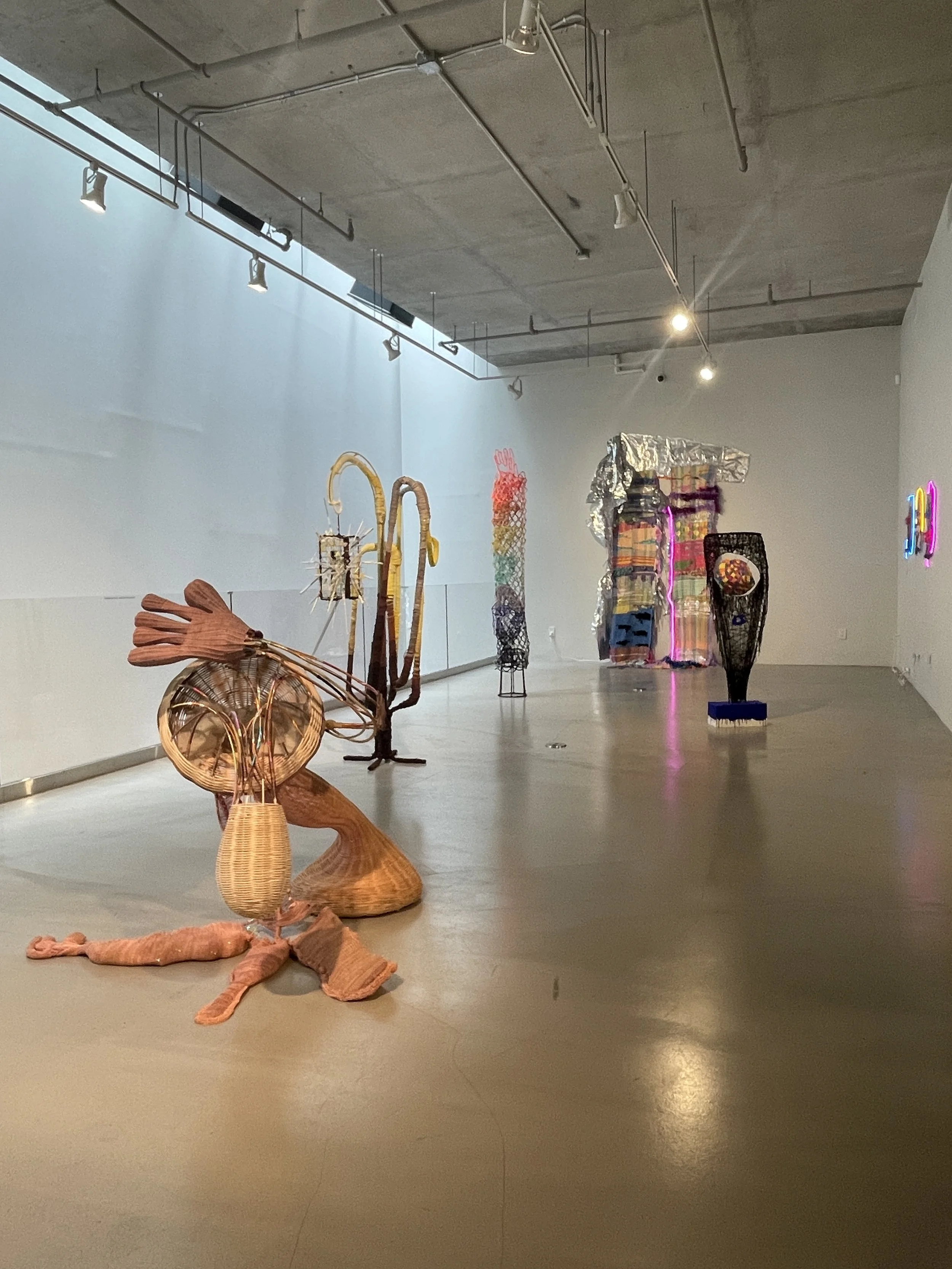 Fibration 202312.JPG