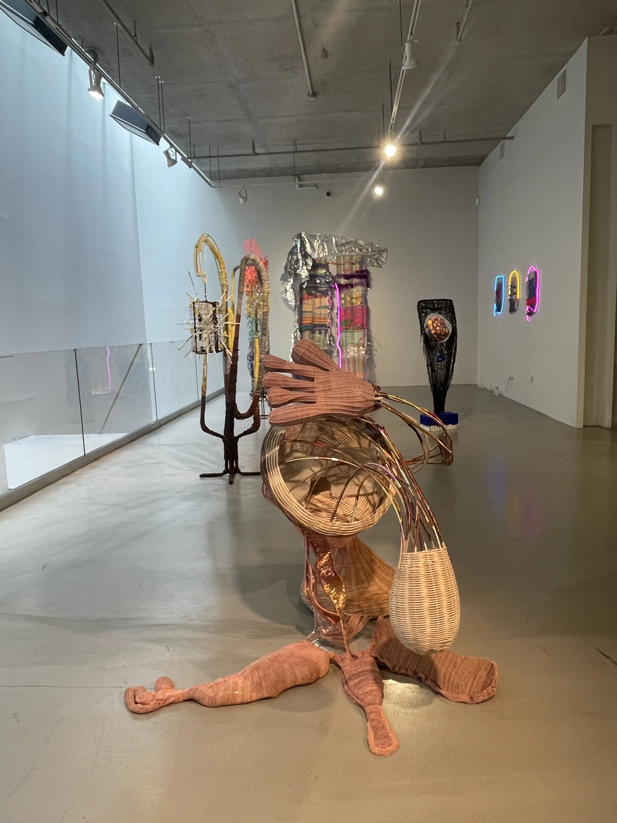 Fibration 202313.JPG