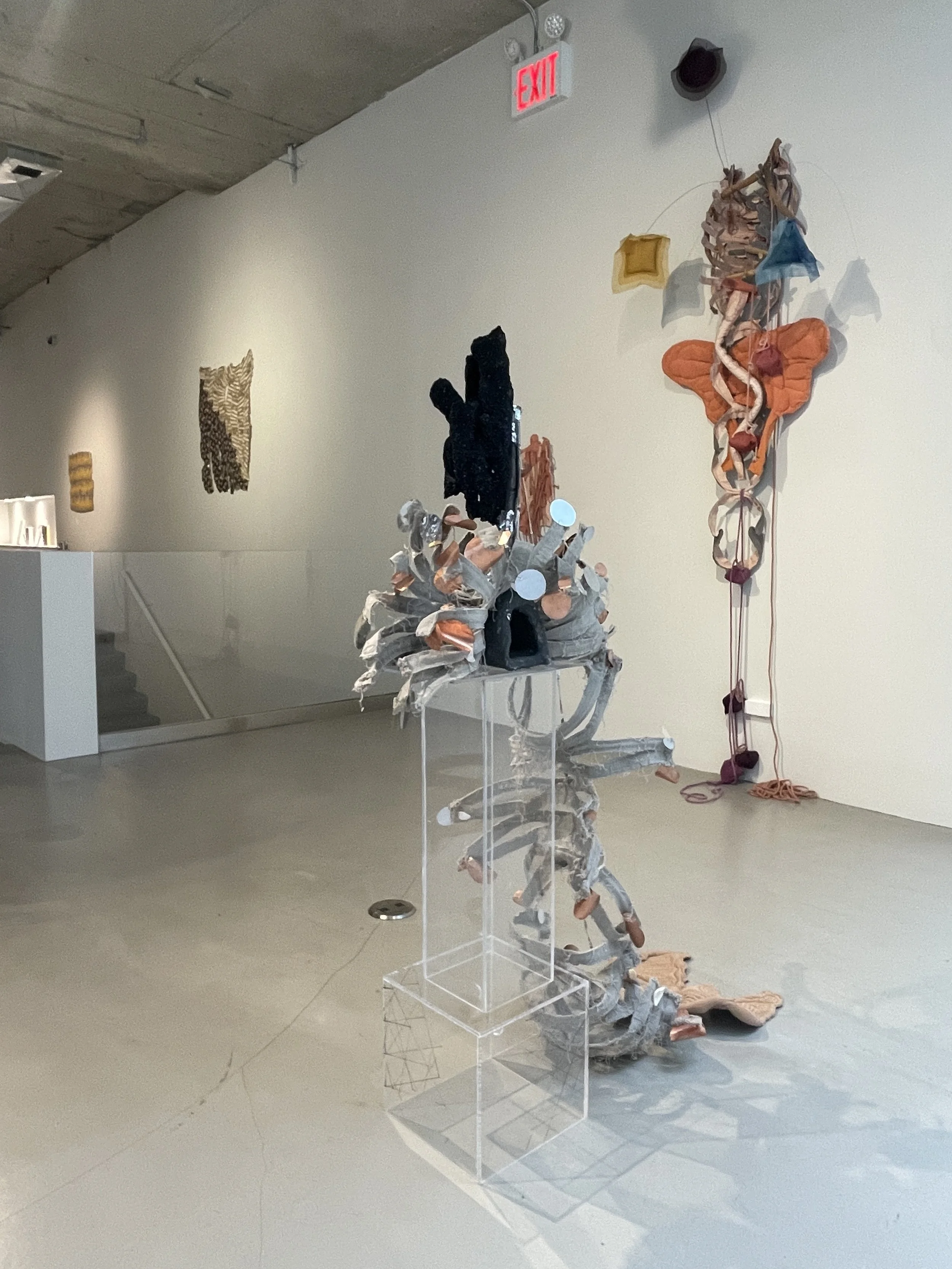 Fibration 202314.JPG