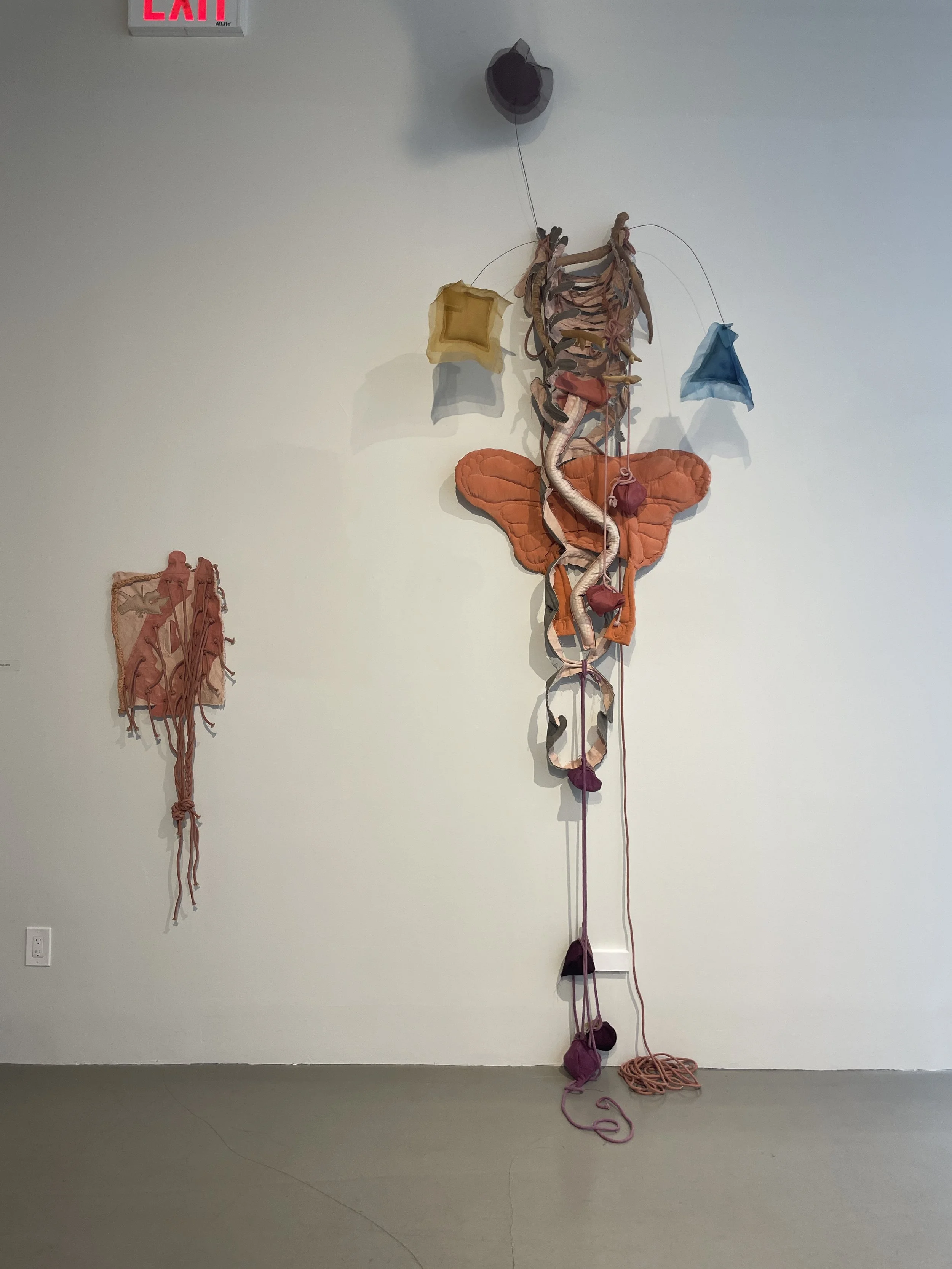 Fibration 202315.JPG