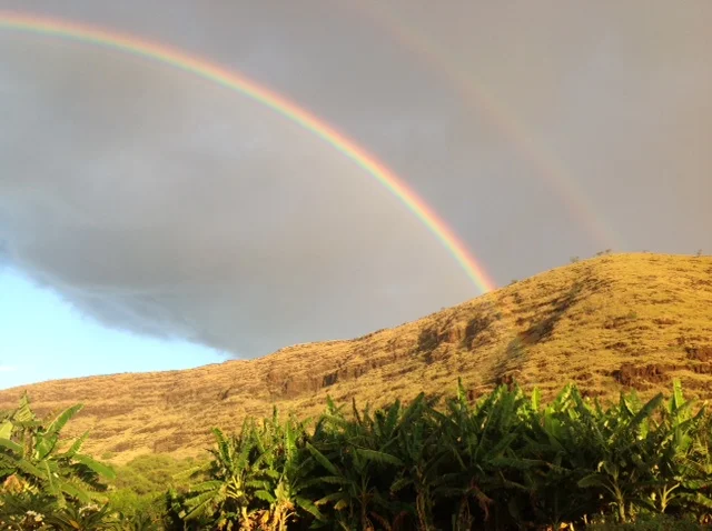 Diamond Head Rainbow.jpg