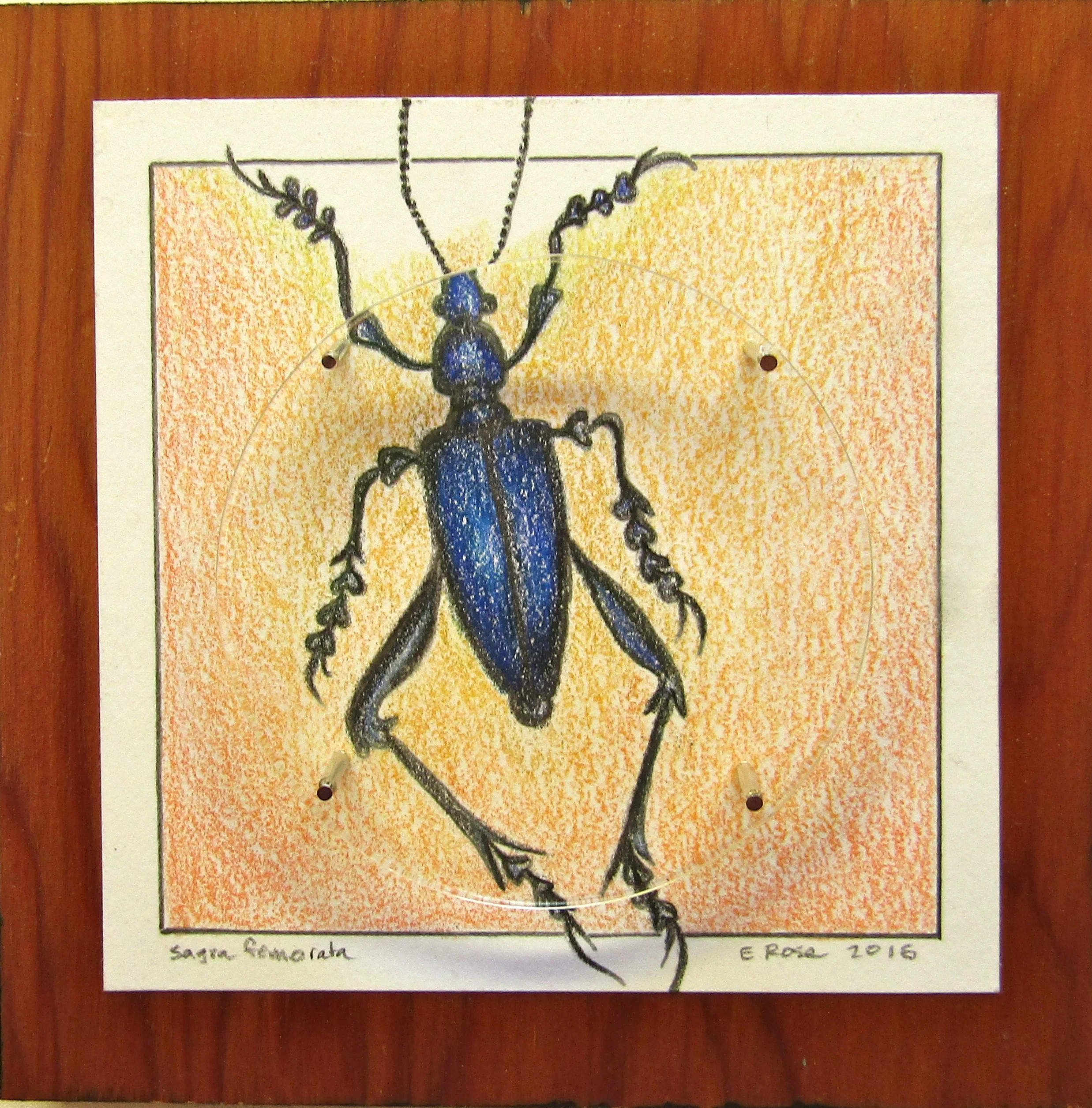 Blue Beetle-Lens