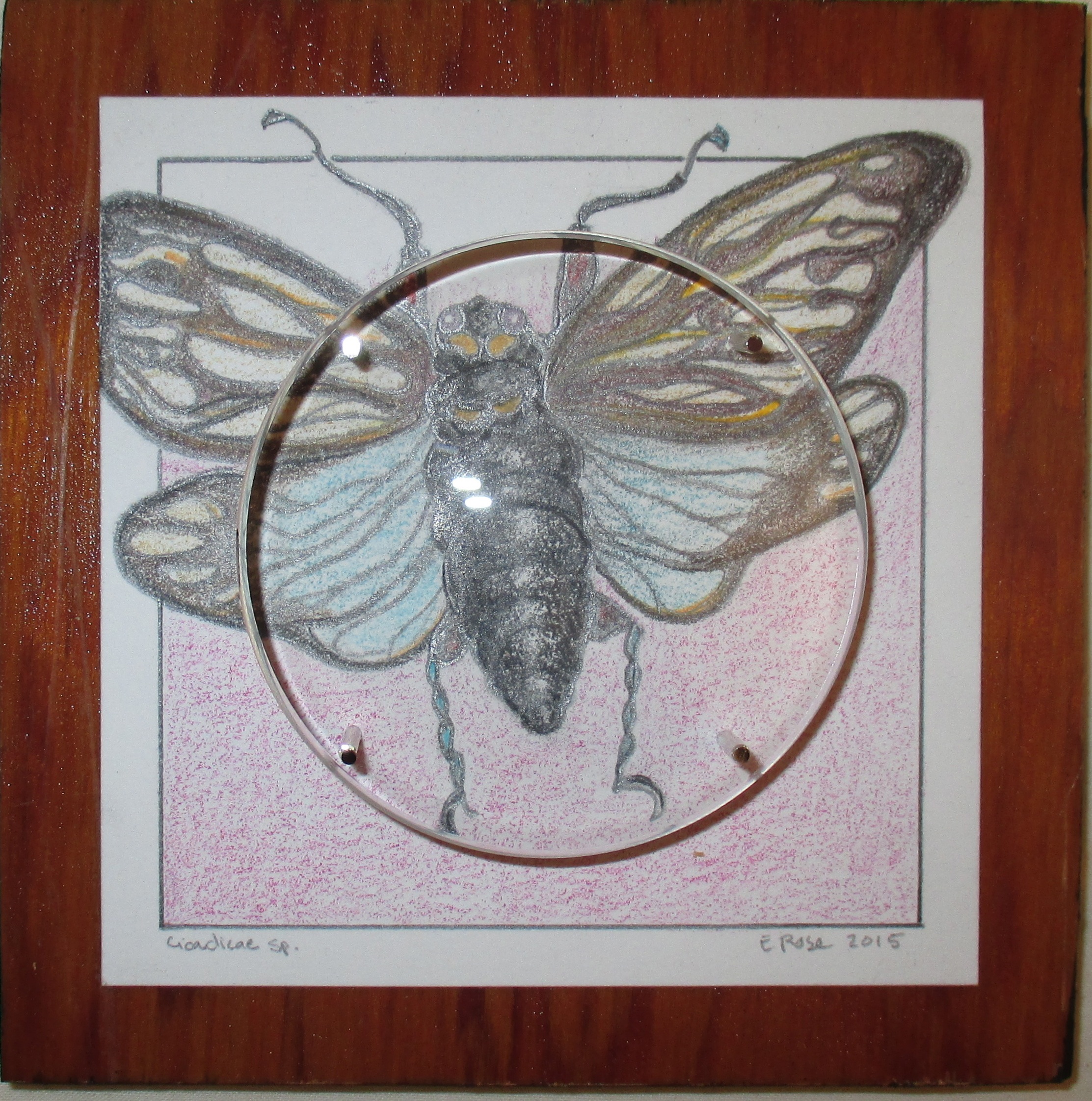 Moth-Lens