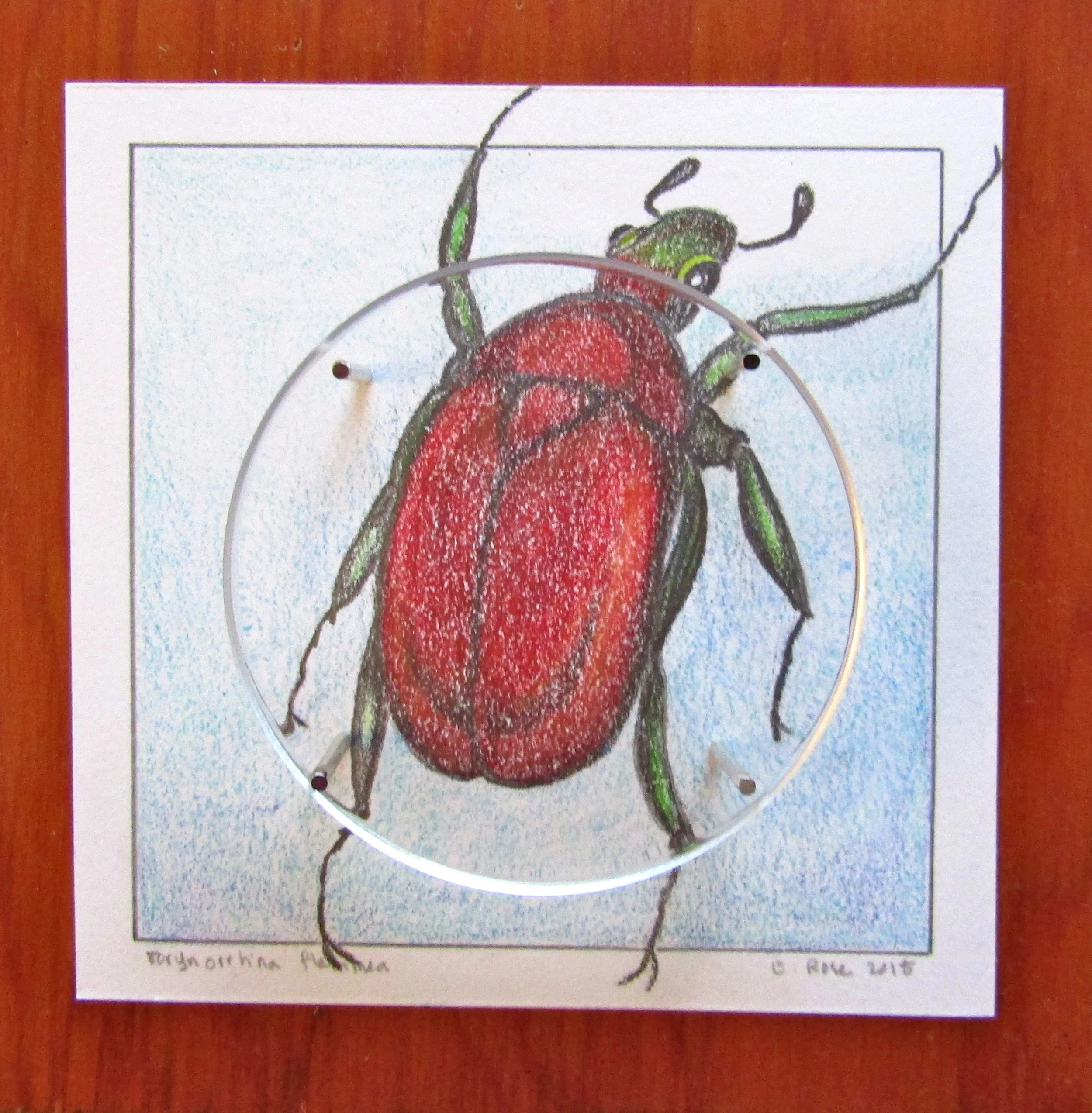 Red Beetle-Lens